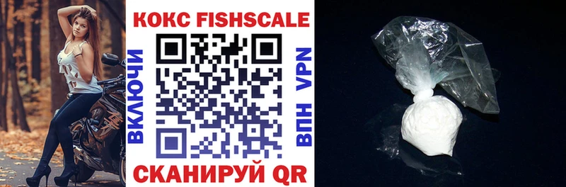 Купить  Малмыж  COCAIN Fish Scale 