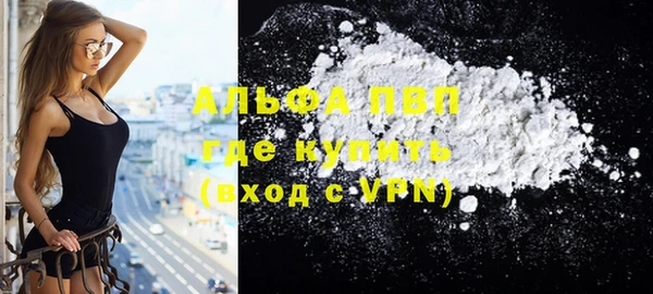 прущий лед Бородино