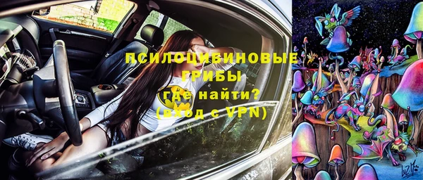прущий лед Бородино