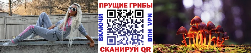 Купить  Малмыж  Галлюциногенные грибы MAGIC MUSHROOMS 